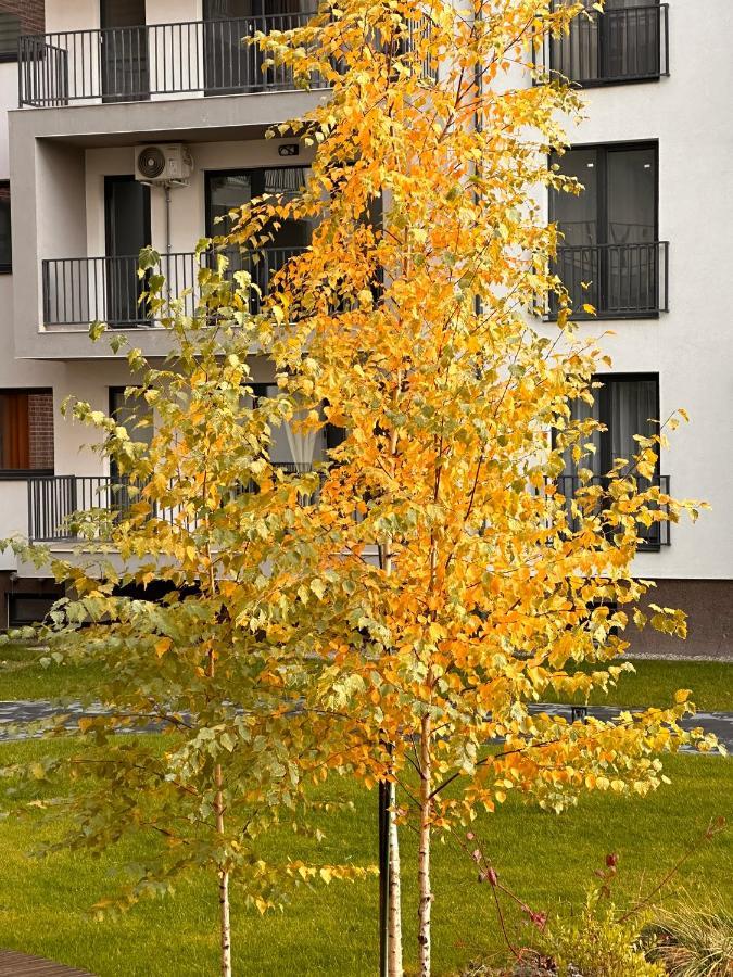 Apartment Blue Atol